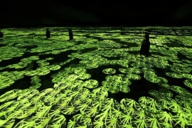 İnsanlar ve sanat arasında yeni bir ilişki