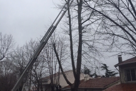 ÖZEL HABER: Ne varsa emekçilerde var! Dondurucu soğukta devrilen ağaçlar, ezilen araçlar, kapanan yollarla mücadele ediyorlar!