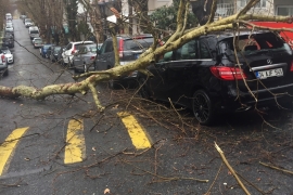 ÖZEL HABER: Ne varsa emekçilerde var! Dondurucu soğukta devrilen ağaçlar, ezilen araçlar, kapanan yollarla mücadele ediyorlar!