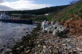 İBB, Adalar'da 25 ton çöp topladı