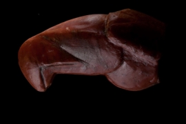 UNESCO Dünya Miras Listesi'nde!