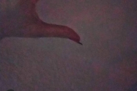 Türk hayranlardan sürpriz etkinlik! Rock Daily'nin doğum günü kutlandı