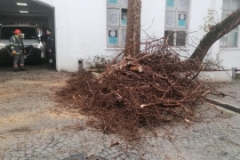 ÖZEL HABER: Ne varsa emekçilerde var! Dondurucu soğukta devrilen ağaçlar, ezilen araçlar, kapanan yollarla mücadele ediyorlar!