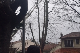 ÖZEL HABER: Ne varsa emekçilerde var! Dondurucu soğukta devrilen ağaçlar, ezilen araçlar, kapanan yollarla mücadele ediyorlar!