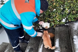 Güç birliği yaptılar!...