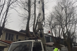 ÖZEL HABER: Ne varsa emekçilerde var! Dondurucu soğukta devrilen ağaçlar, ezilen araçlar, kapanan yollarla mücadele ediyorlar!
