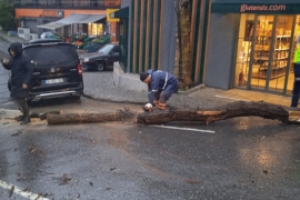 ÖZEL HABER: Ne varsa emekçilerde var! Dondurucu soğukta devrilen ağaçlar, ezilen araçlar, kapanan yollarla mücadele ediyorlar!