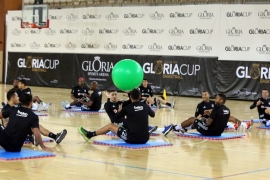 Kartallar yuvaya dönüyor