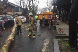 ÖZEL HABER: Ne varsa emekçilerde var! Dondurucu soğukta devrilen ağaçlar, ezilen araçlar, kapanan yollarla mücadele ediyorlar!