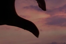 Türk hayranlardan sürpriz etkinlik! Rock Daily'nin doğum günü kutlandı