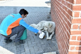Beşiktaş Belediye Başkanı Rıza Akpolat iddialı konuştu: Can dostlarımız için 7/24 çalışan ilk ilçe belediyesiyiz