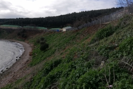 İBB, Adalar'da 25 ton çöp topladı