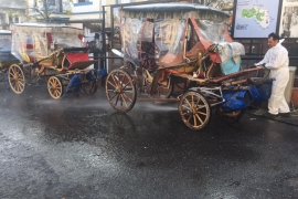 İBB, Adalar'da 25 ton çöp topladı