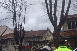 ÖZEL HABER: Ne varsa emekçilerde var! Dondurucu soğukta devrilen ağaçlar, ezilen araçlar, kapanan yollarla mücadele ediyorlar!