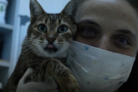 Başkan Akpolat'ta Hayvanları Koruma Günü mesajı