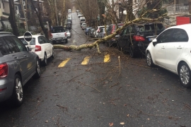 ÖZEL HABER: Ne varsa emekçilerde var! Dondurucu soğukta devrilen ağaçlar, ezilen araçlar, kapanan yollarla mücadele ediyorlar!