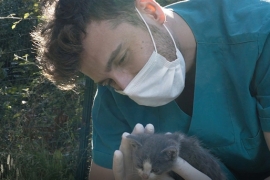 Başkan Akpolat'ta Hayvanları Koruma Günü mesajı