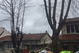 ÖZEL HABER: Ne varsa emekçilerde var! Dondurucu soğukta devrilen ağaçlar, ezilen araçlar, kapanan yollarla mücadele ediyorlar!