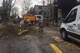 ÖZEL HABER: Ne varsa emekçilerde var! Dondurucu soğukta devrilen ağaçlar, ezilen araçlar, kapanan yollarla mücadele ediyorlar!