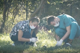 Başkan Akpolat'ta Hayvanları Koruma Günü mesajı