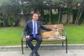 Beşiktaş Belediye Başkanı Rıza Akpolat iddialı konuştu: Can dostlarımız için 7/24 çalışan ilk ilçe belediyesiyiz