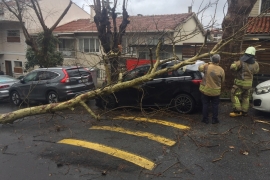 ÖZEL HABER: Ne varsa emekçilerde var! Dondurucu soğukta devrilen ağaçlar, ezilen araçlar, kapanan yollarla mücadele ediyorlar!