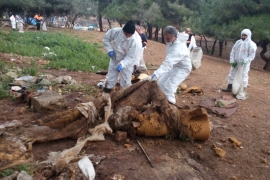 İBB, Adalar'da 25 ton çöp topladı