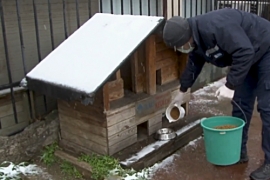 ÖZEL HABER: Beşiktaş'ta can dostlarımız güvende!