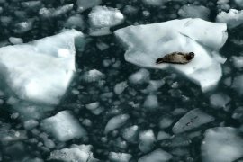 Dünya alarm veriyor, denizi kaplayan buz eridi