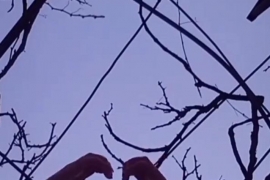 Türk hayranlardan sürpriz etkinlik! Rock Daily'nin doğum günü kutlandı