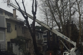 ÖZEL HABER: Ne varsa emekçilerde var! Dondurucu soğukta devrilen ağaçlar, ezilen araçlar, kapanan yollarla mücadele ediyorlar!