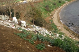 İBB, Adalar'da 25 ton çöp topladı