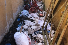 İBB, Adalar'da 25 ton çöp topladı