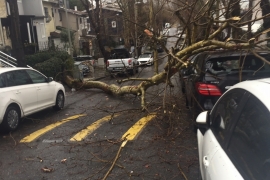 ÖZEL HABER: Ne varsa emekçilerde var! Dondurucu soğukta devrilen ağaçlar, ezilen araçlar, kapanan yollarla mücadele ediyorlar!