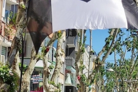 Türkiye’nin dört bir yanında Beşiktaş Bayrakları