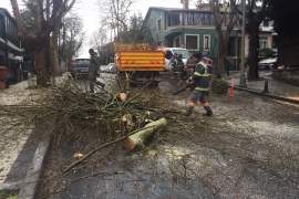 ÖZEL HABER: Ne varsa emekçilerde var! Dondurucu soğukta devrilen ağaçlar, ezilen araçlar, kapanan yollarla mücadele ediyorlar!