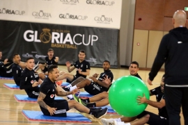 Kartallar yuvaya dönüyor