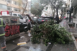 ÖZEL HABER: Ne varsa emekçilerde var! Dondurucu soğukta devrilen ağaçlar, ezilen araçlar, kapanan yollarla mücadele ediyorlar!