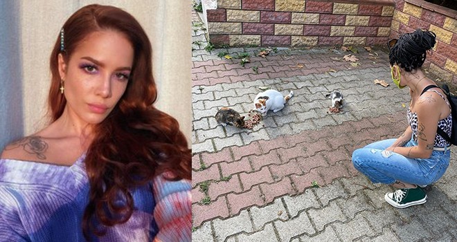 DNA’sında Türklük olan dünya yıldızı İstanbul'u geziyor