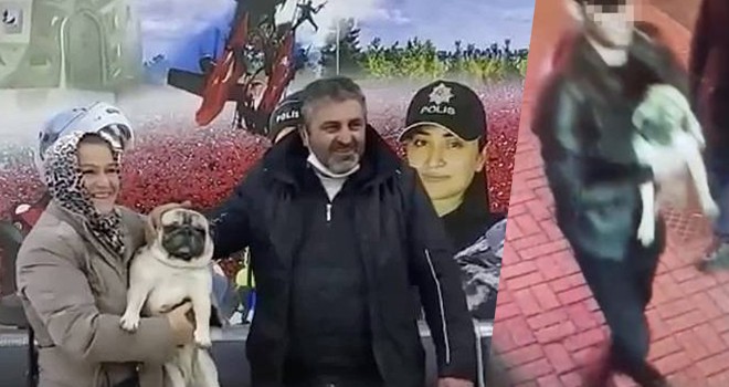 Köpek hırsızlarını Beşiktaş Emniyeti yakaladı