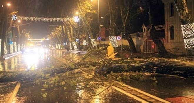 Fırtına nedeniyle tehlike saçan ağaç kesildi