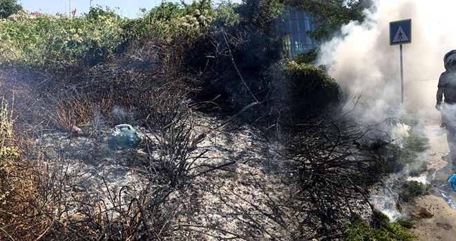 Beşiktaş'ta otluk alanda yangın paniği