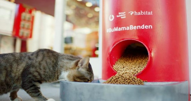 Sokak hayvanları doyuyor