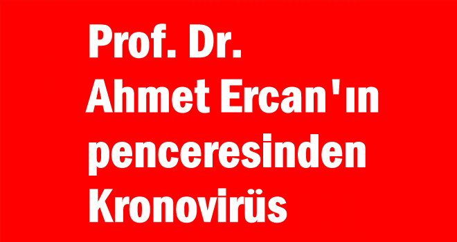Prof. Dr. Ahmet Ercan Kronovirüs ile ilgili  gülümseten yazıları