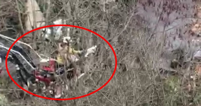 Beşiktaş'ta kedi kurtarma operasyonu