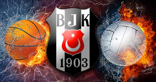 Beşiktaş'tan basketbol ve voleybol ligleri açıklaması