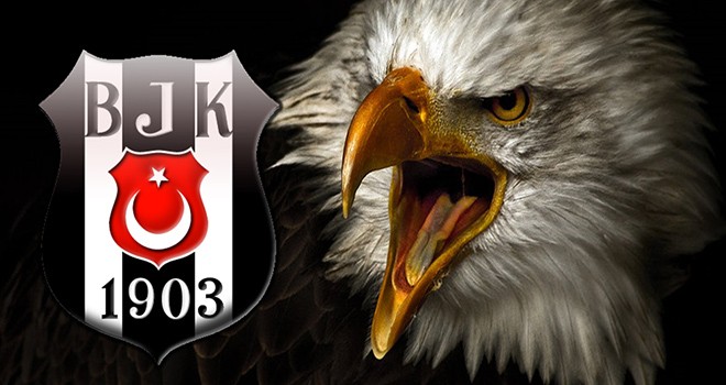 Kartallar yuvaya dönüyor