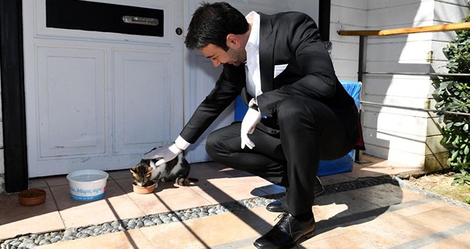 Başkan Akpolat'ta Hayvanları Koruma Günü mesajı