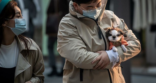 Yeni koronavirüs dalgası gelebilir