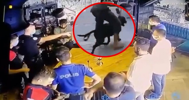 İş yerini dağıtıp köpeğini vatandaşların üzerine salan şahısı Beşiktaş Emniyeti yakaladı